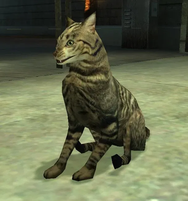 This is peak graphics and I'm not joking