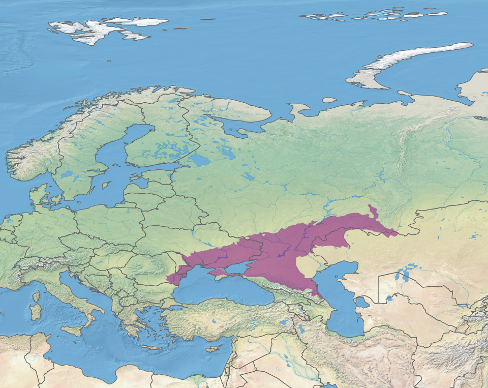 TIL about Pontic–Caspian steppe