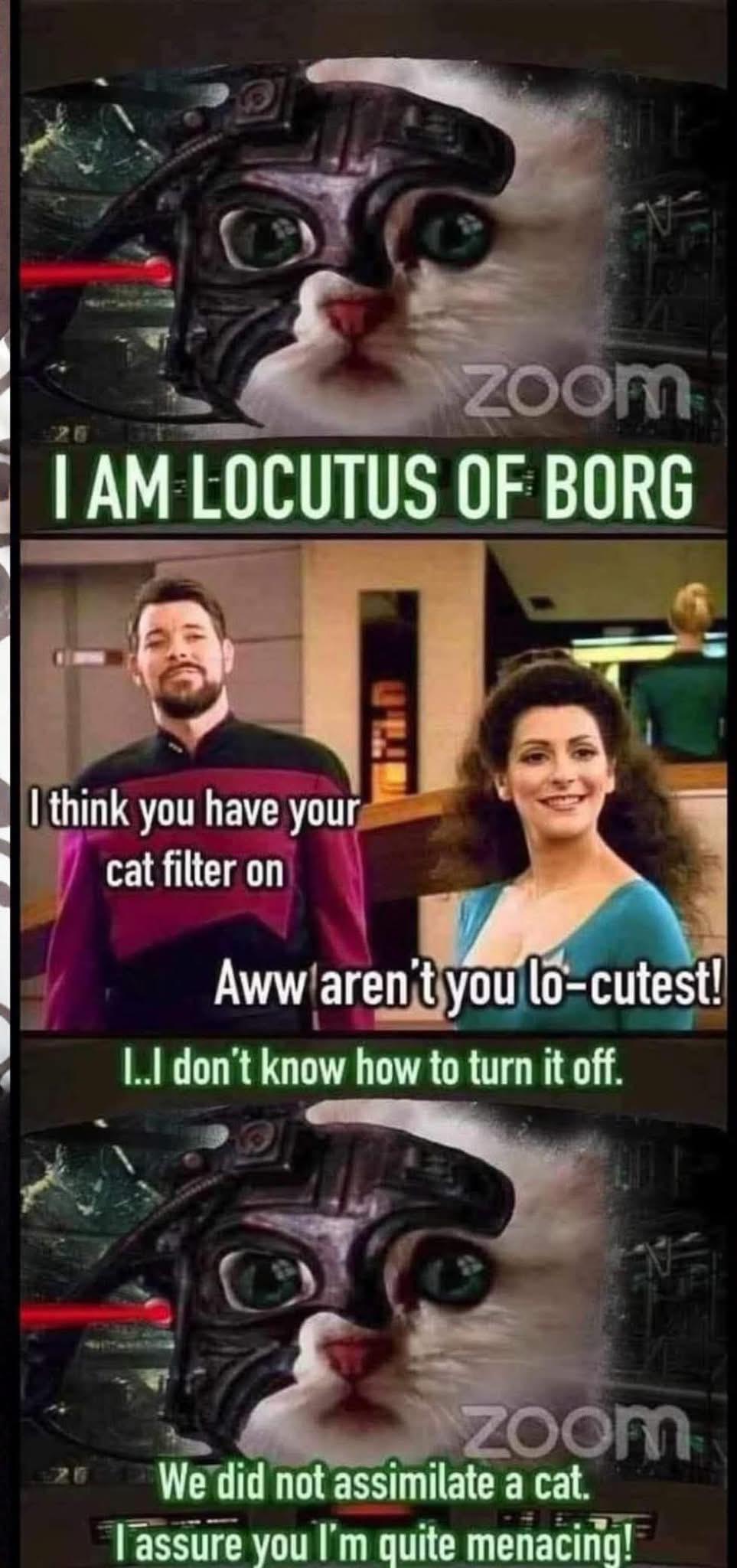 "Lo-cutest"