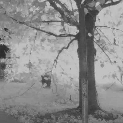 Hairy Harmonies @4pm EST /9pm UTC: Artist-Activists documentaries: What Happened Miss Simone & I Heard It Through The Grapevine