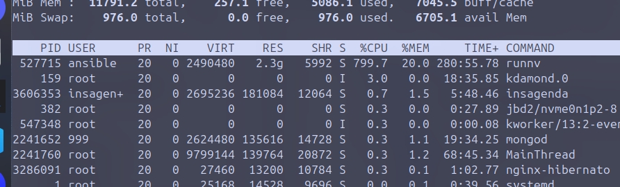 Umami is vulnerable - upgrade immediately