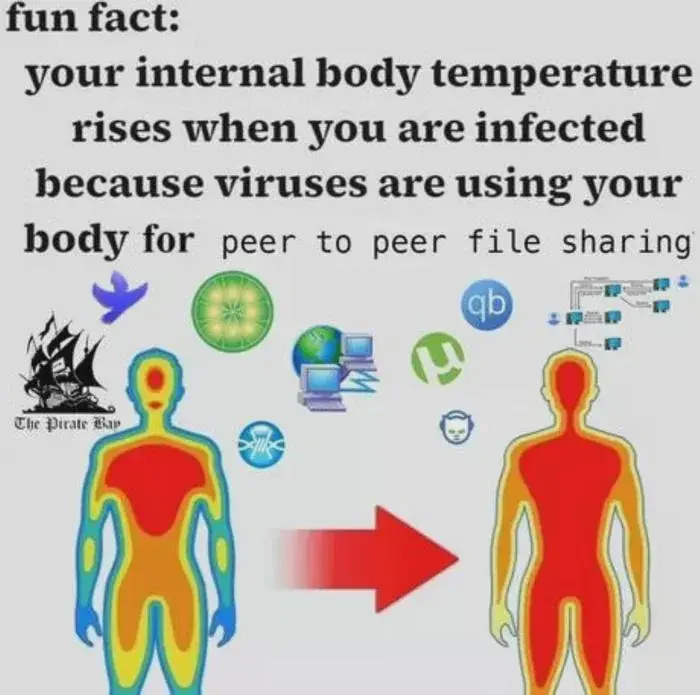 Every cell in my body has become a mirror site