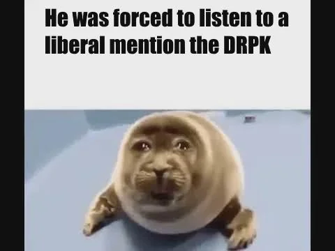 Didn't you hear? The dIcTaTorShiP brutally executed 600 bajillion people because they had dear leaders haircut!