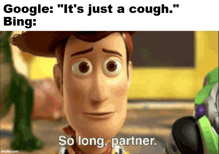 The duality of search engines