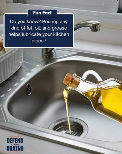 fun fact!