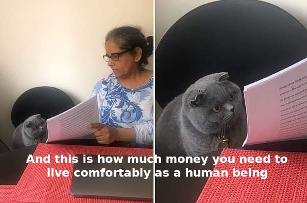 Show me the other options