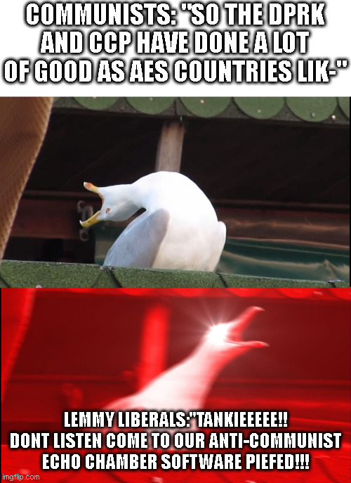 How it seems to go every time with them LMBO