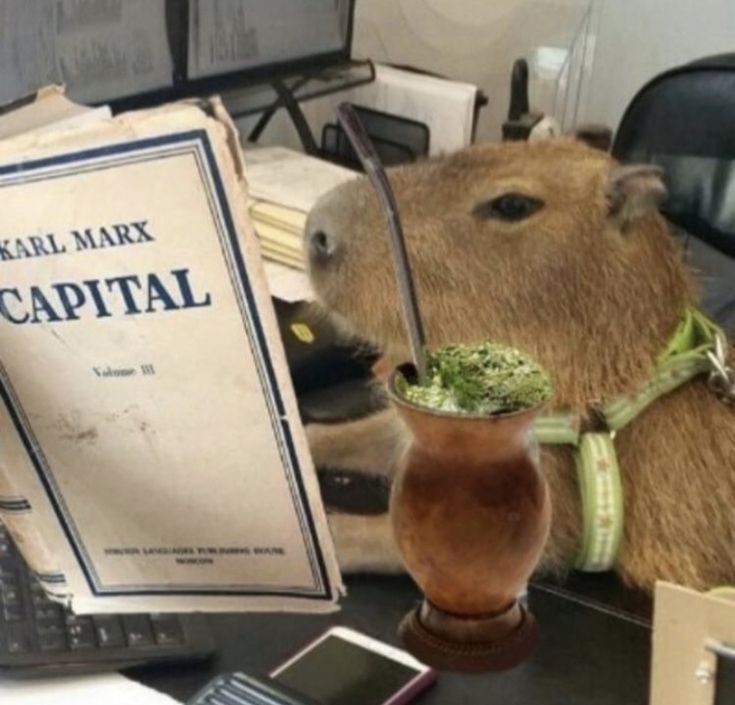 this is who I want to be. this is my ideal