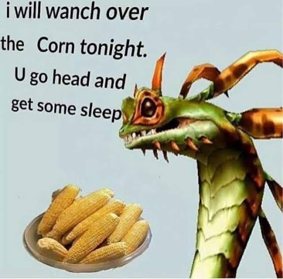 Show me your favorite absurdist memes