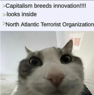 "Trust me bro its for defense"