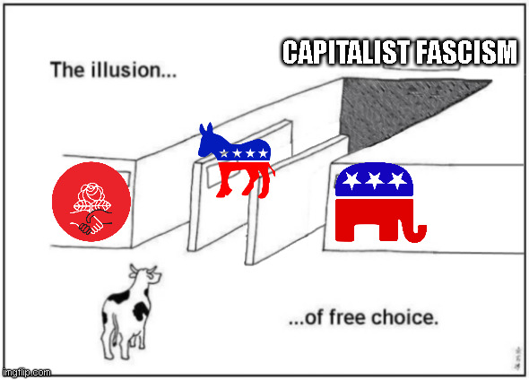 lets trying voting our way out of fascism itll totally work this time!