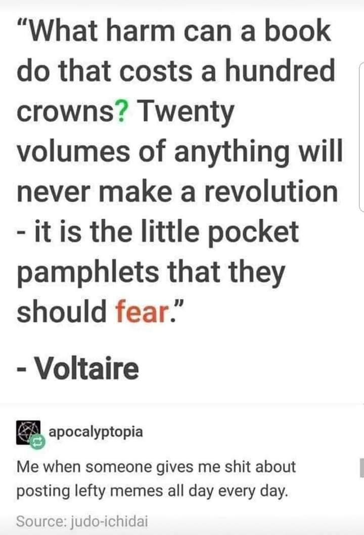 The meme revolution