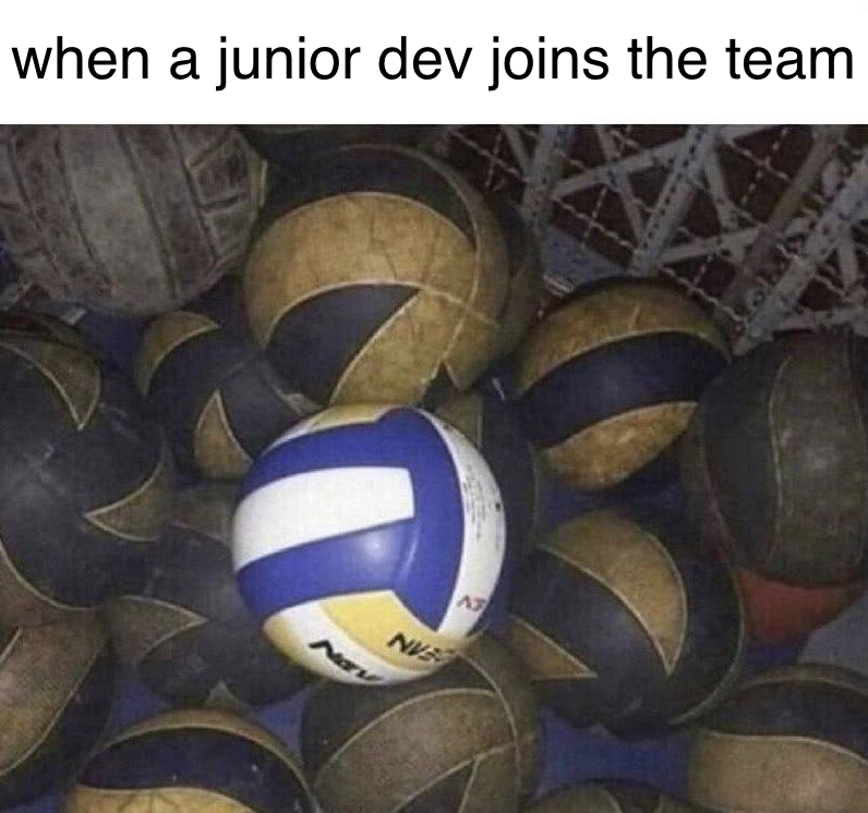 When a junior dev joins the team