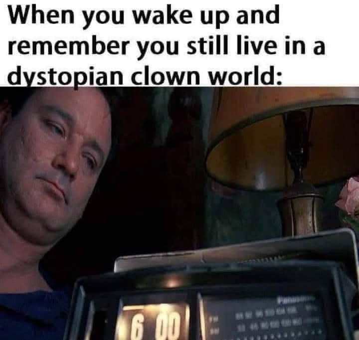 When you wake up and remember you still live in a dystopian clown world