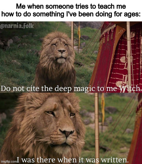 "Thank you for telling me how to do something I already knew"