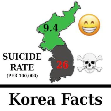 How funny the imperial vassal state of south "korea" also has the higest suicide rate