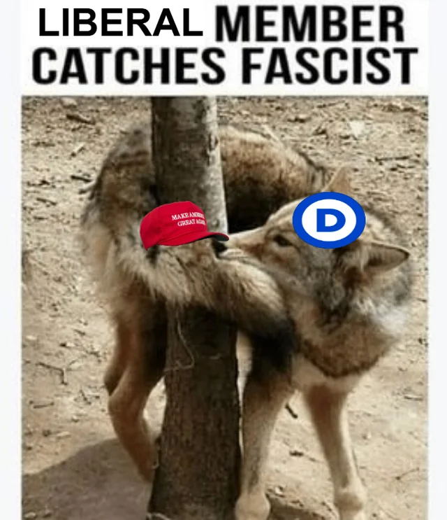 Libs: wE CaN vOtE OUr wAY ouT of FAsCisM