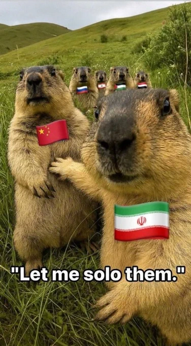 Go Iran  🇮🇷  🇮🇷