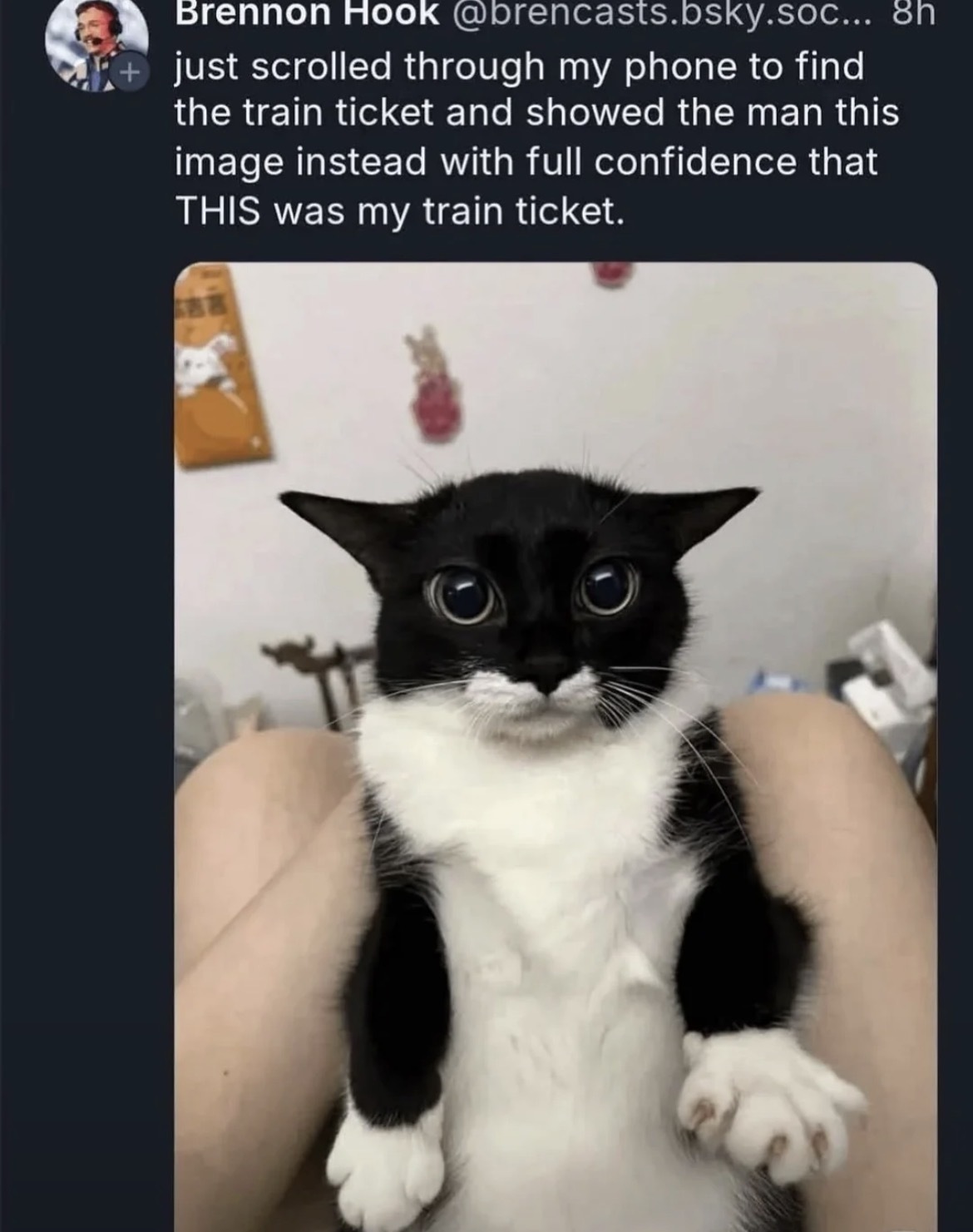 I'd accept it