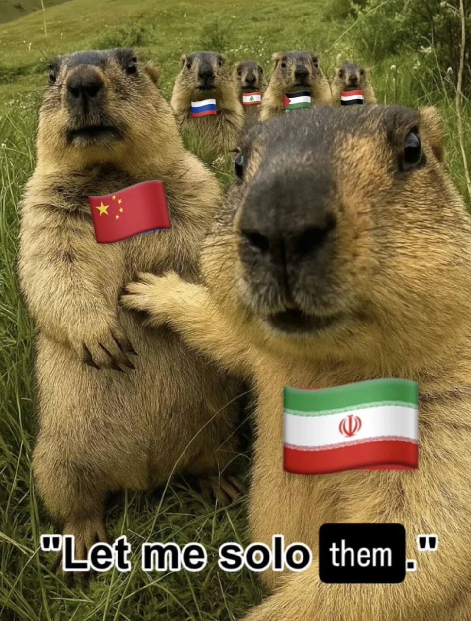 Iran turns out to be the MVP