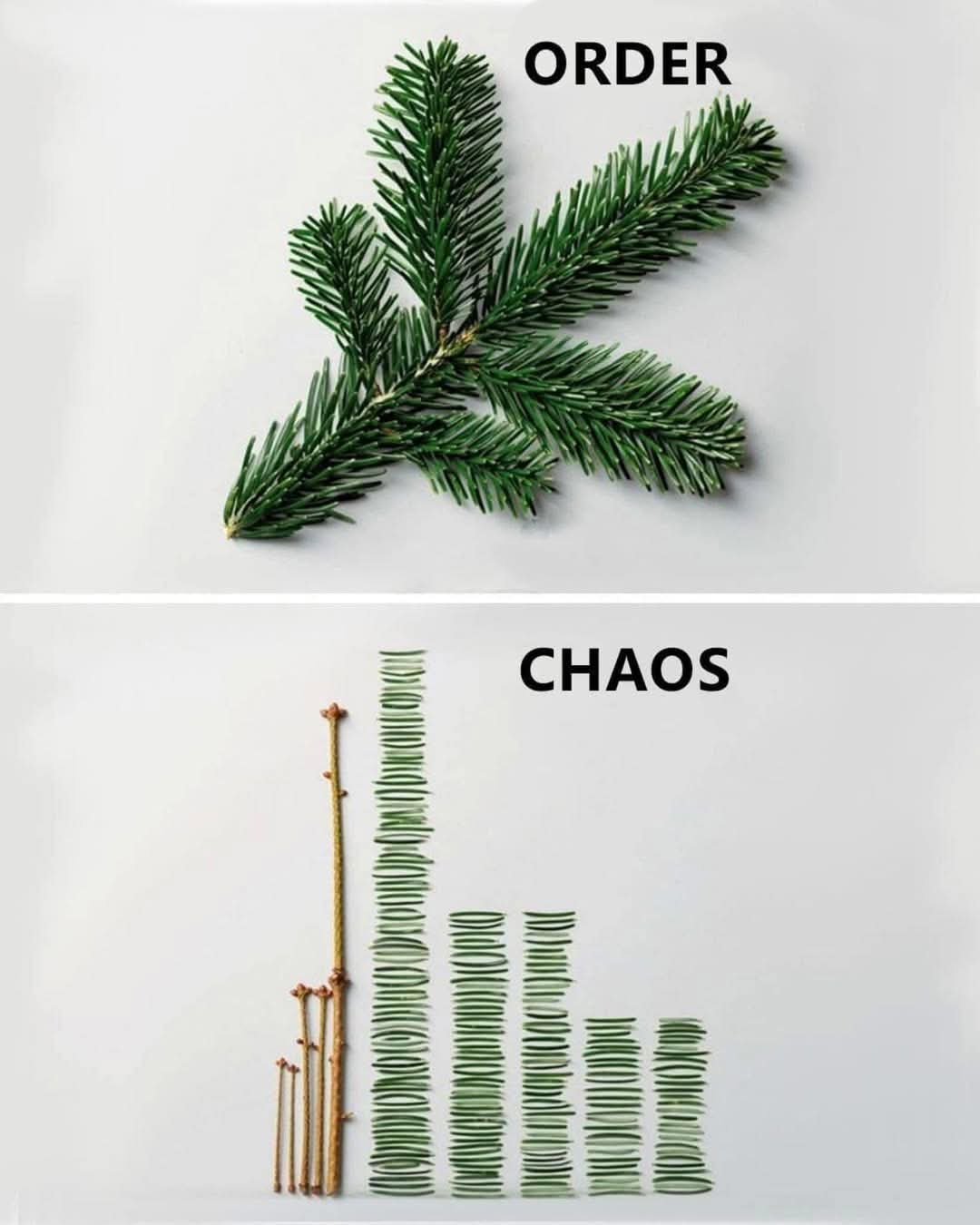 chaos