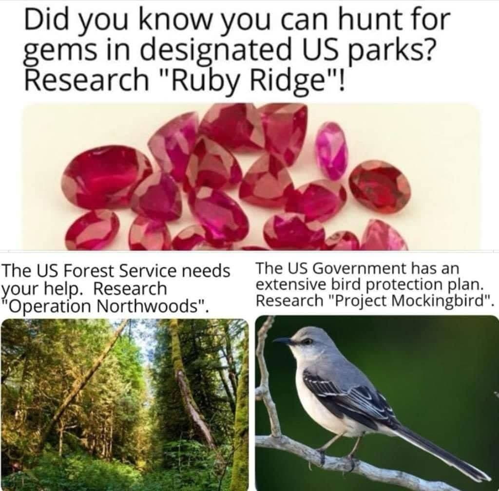 fascinating subjects worth looking in to