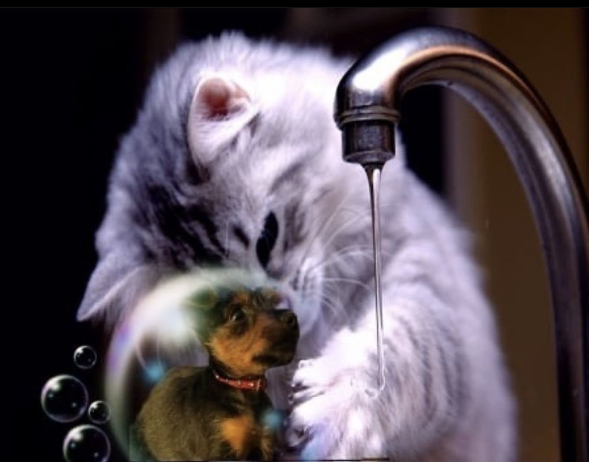 Things feel so different out here. Someday you will understand