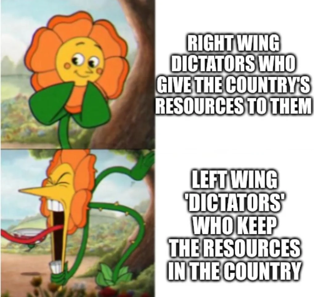 only the countries that just happen to be AES countries are "authoritarians" bro. just trust me bro! ~The West