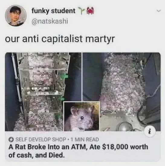 🫡🫡🫡