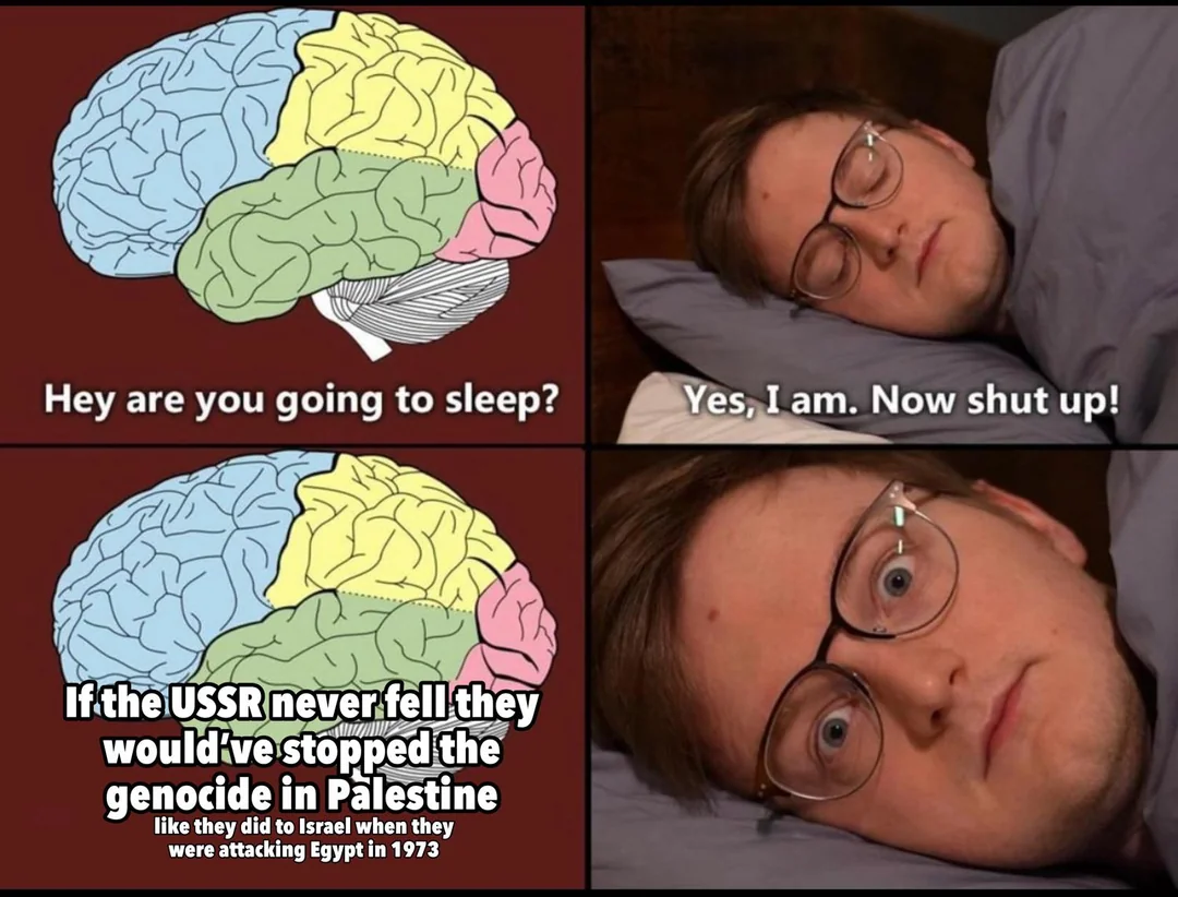 If only they were still here 😔