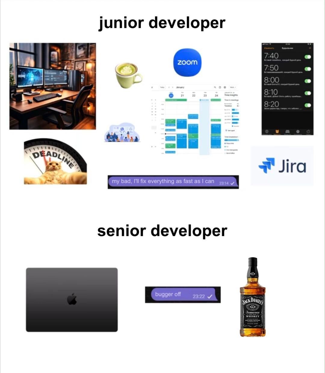 Junoir vs Senior