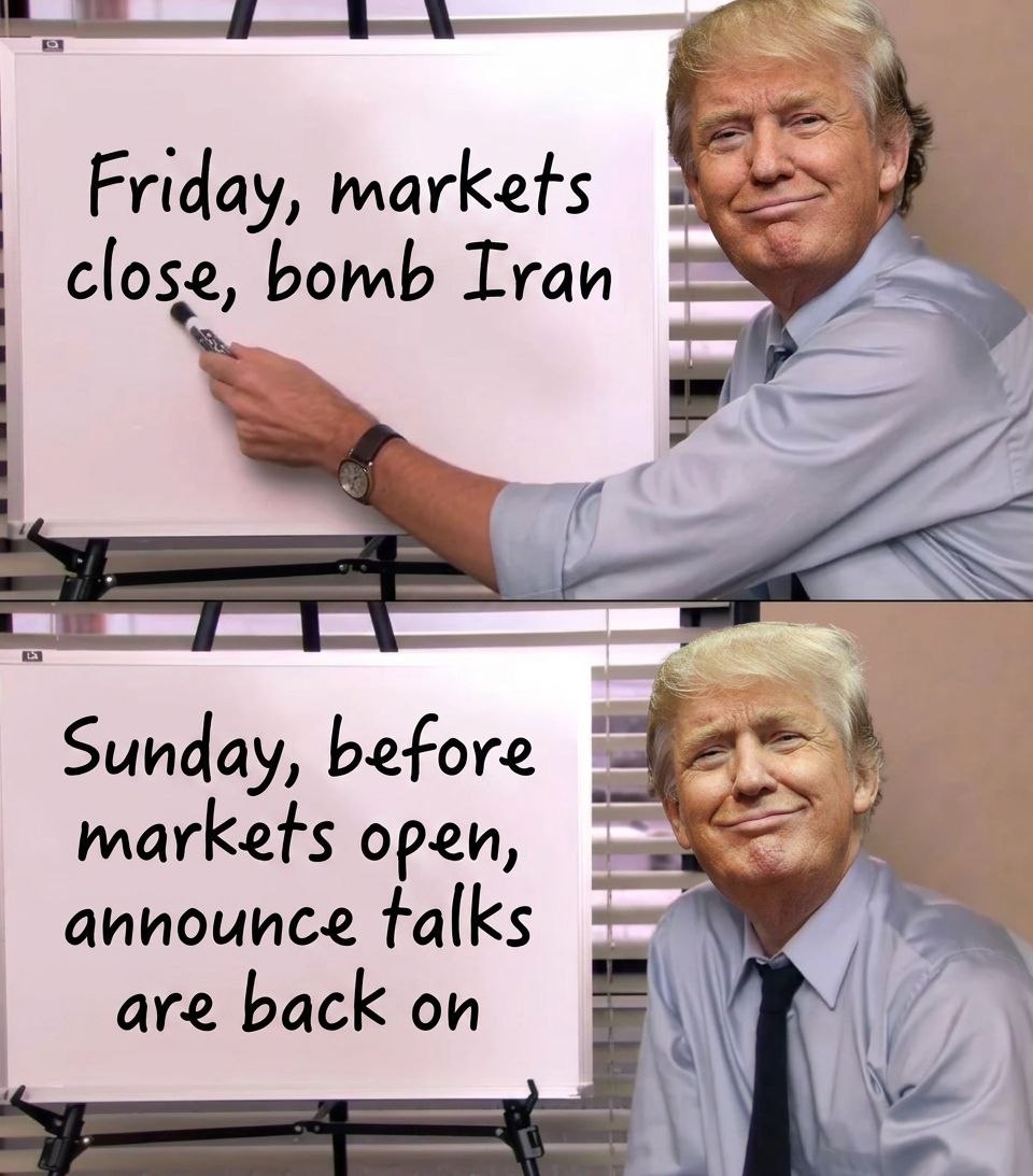 The Cycle