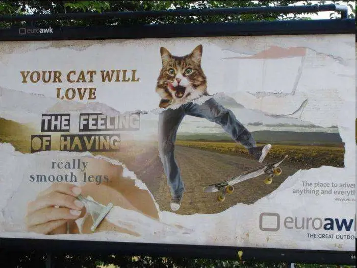 Hairballs are overrated