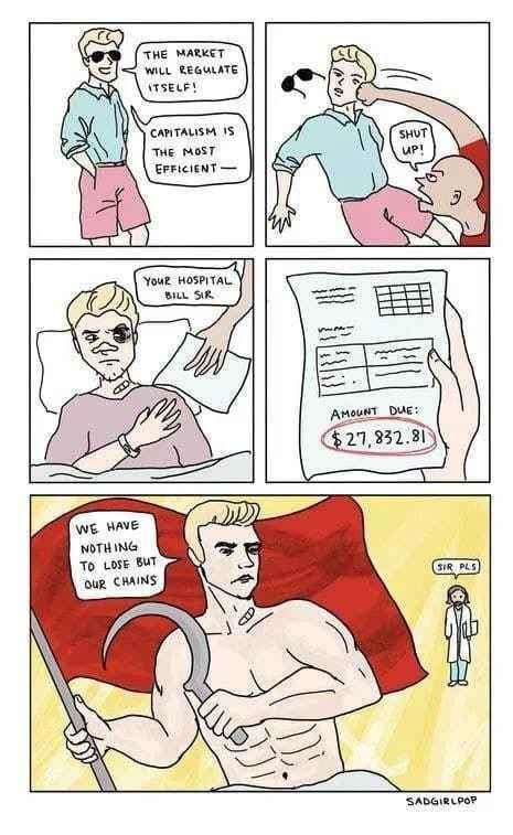 healthcare costs are a potent force for radicalization