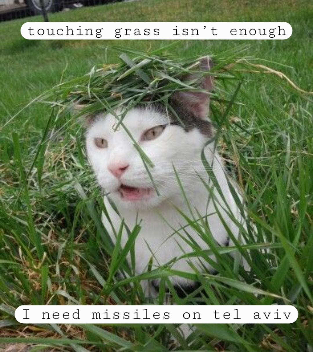 "Touch grass" they said
