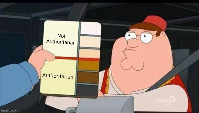 What Authoritarian means to most westerners