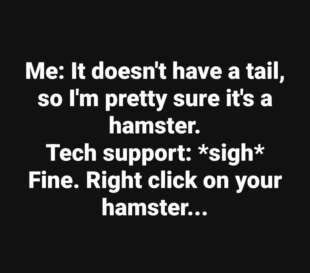 Hamster IT