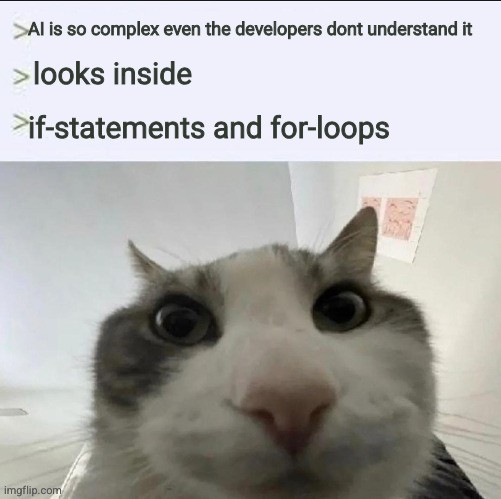 no one can understand AI