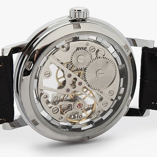TIL about skeleton watches which deliberately have all the moving parts visible