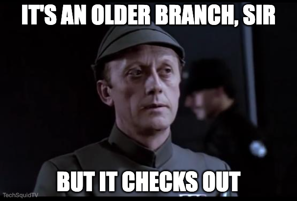 When you have to checkout the master branch