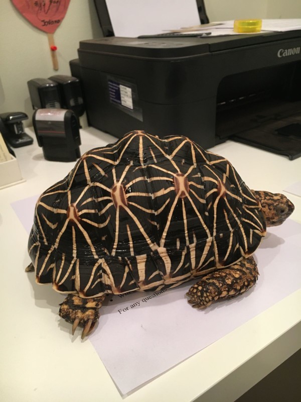 You'll never guess what will happen if you try to print out a shell script!