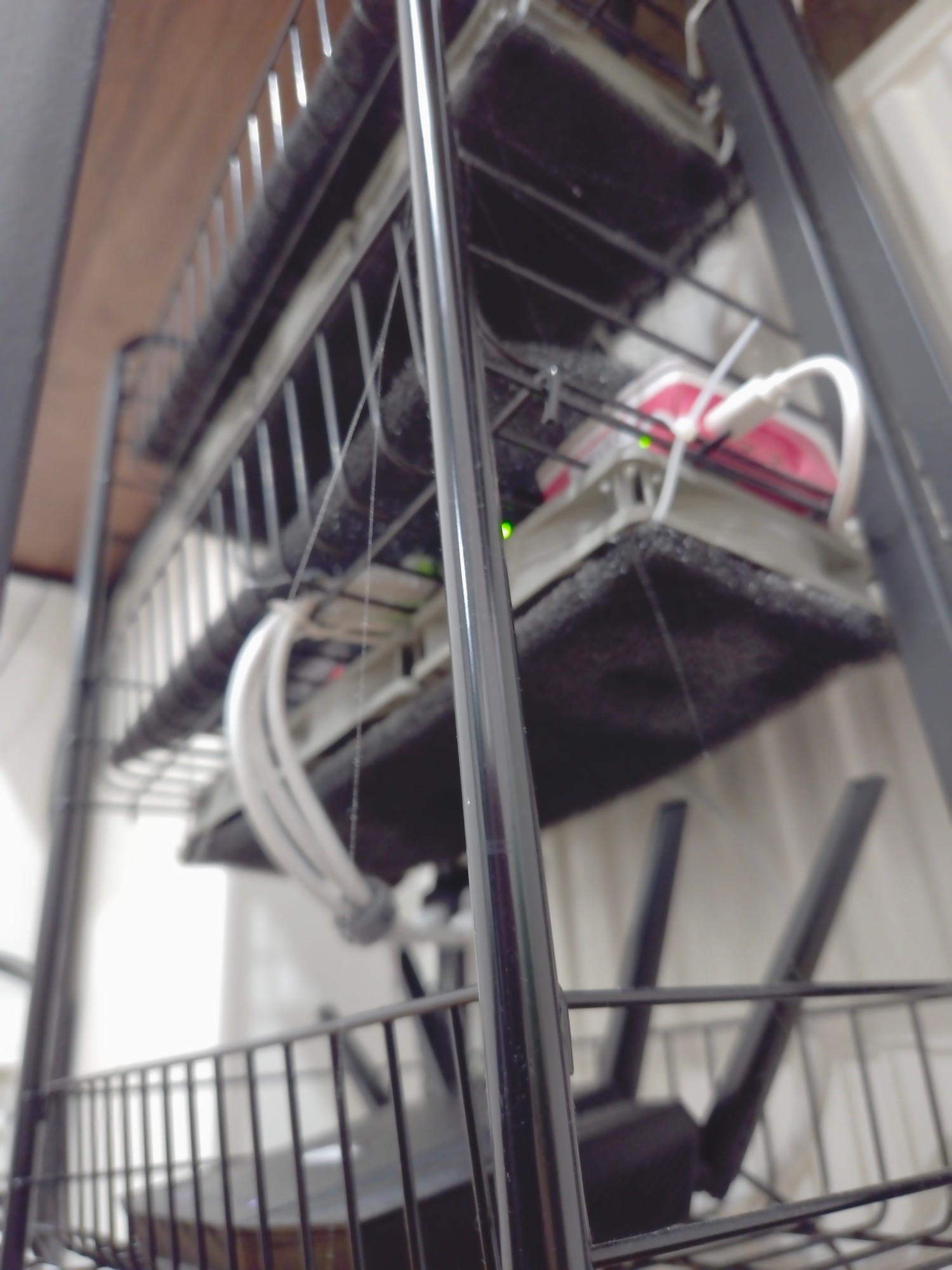 I'm not trying to emulate my capitalist landlord, but how can I impose rent on the spider that seems to have moved in to my network rack? 🕷️🕸️