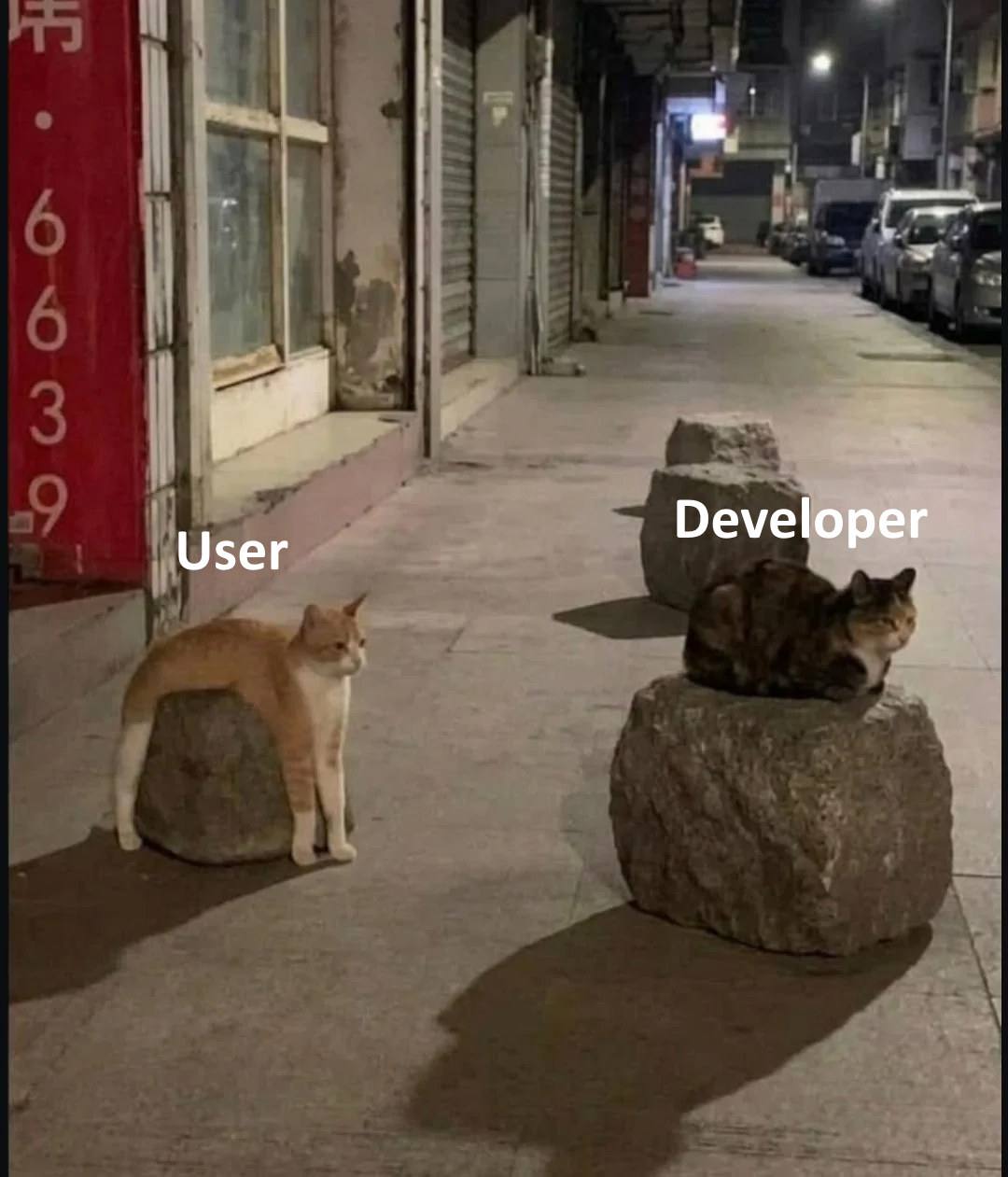 Users VS Devs